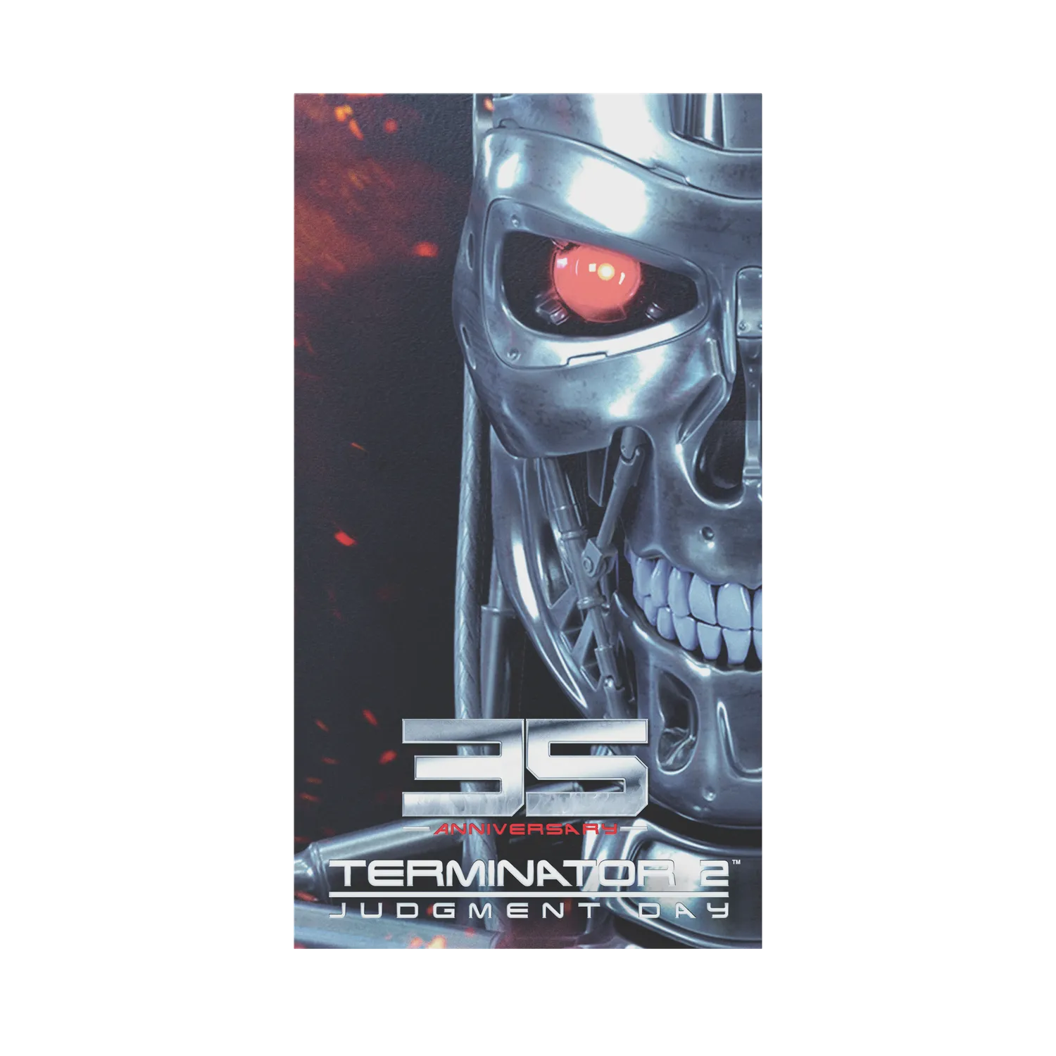 Hyperkin Terminator 2 VHS Game Case Switch 12-vaks
